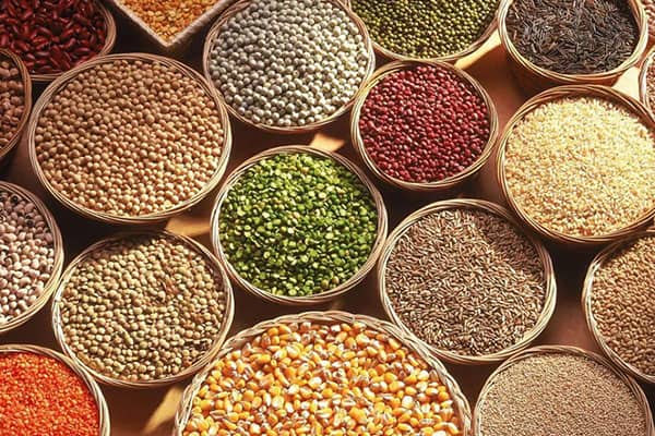 Agro Products - Lentils
