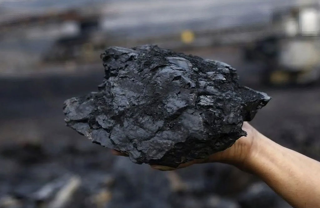 Best Coal Trading Company